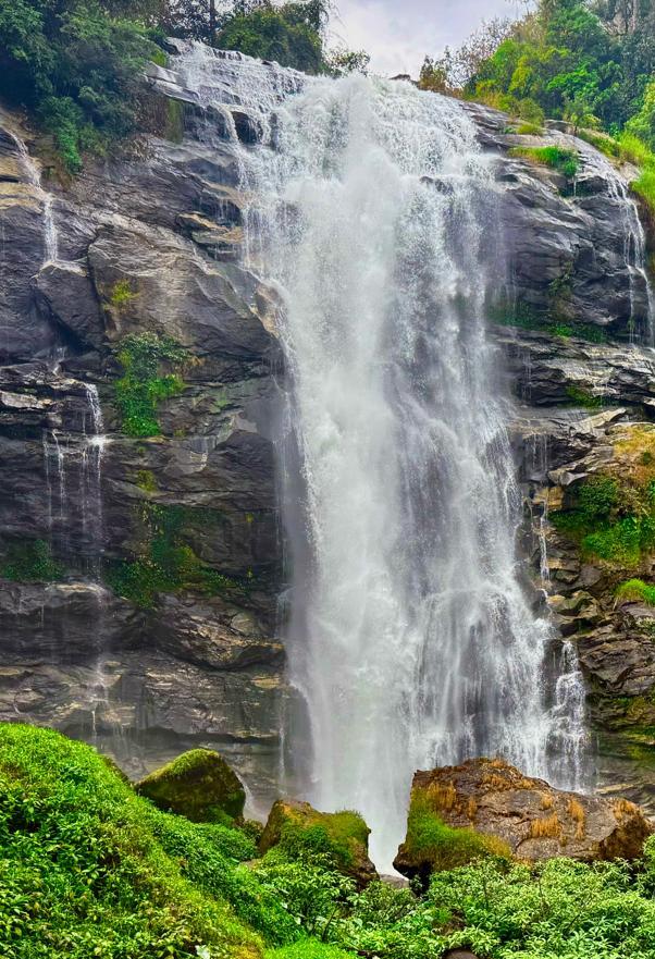 nature