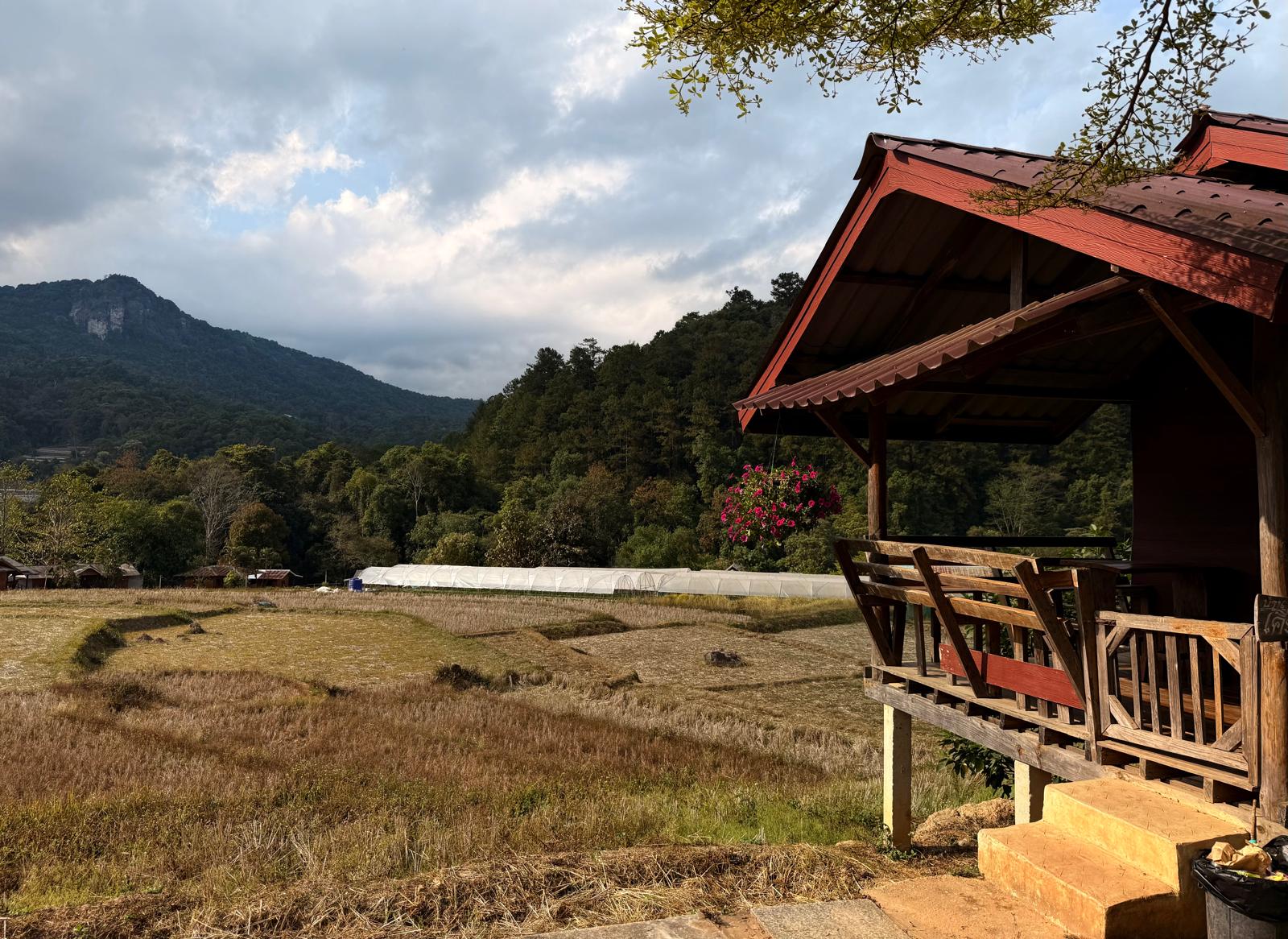 countryside
