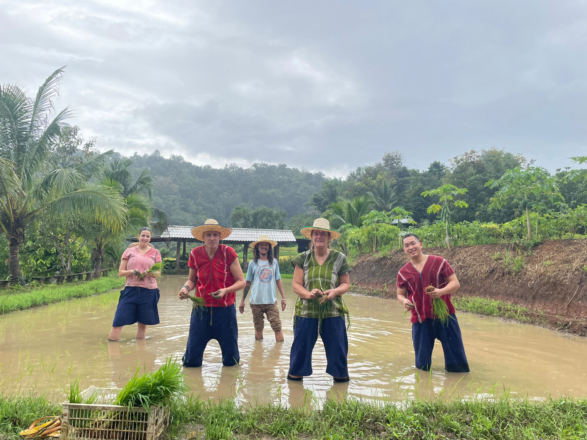 farming2